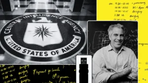 Epstein and the Global Establishment