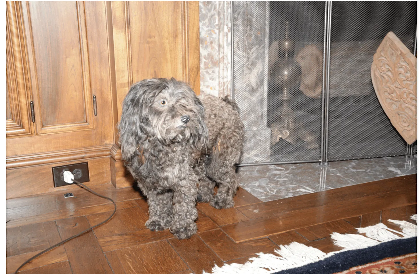 Jeff’s Christmas Grab Bag