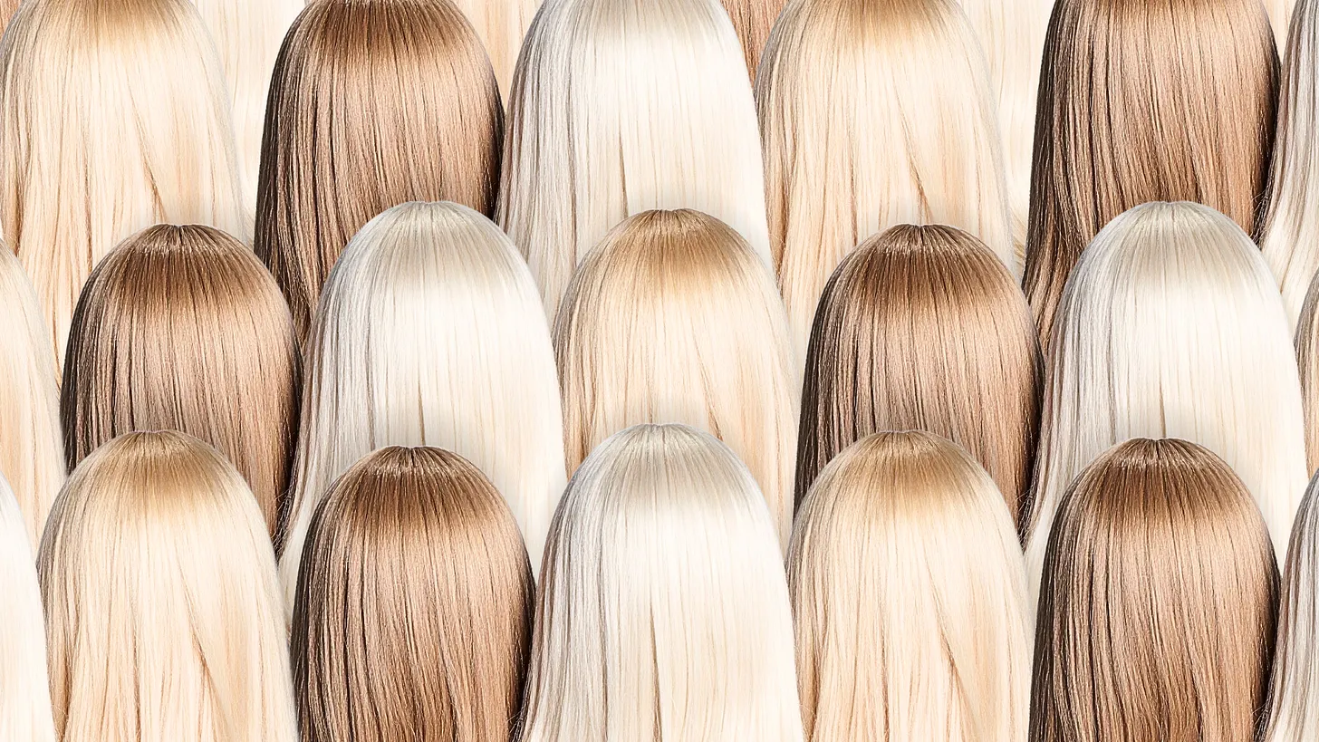 Jeff and the Blondes